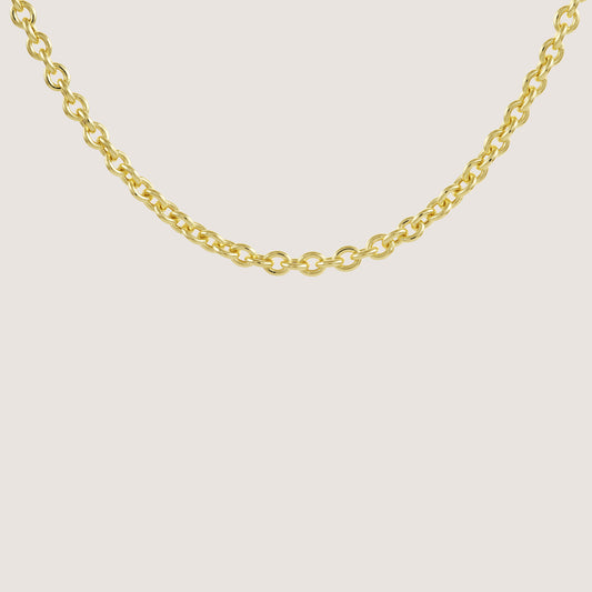Classic Link Chain Necklace