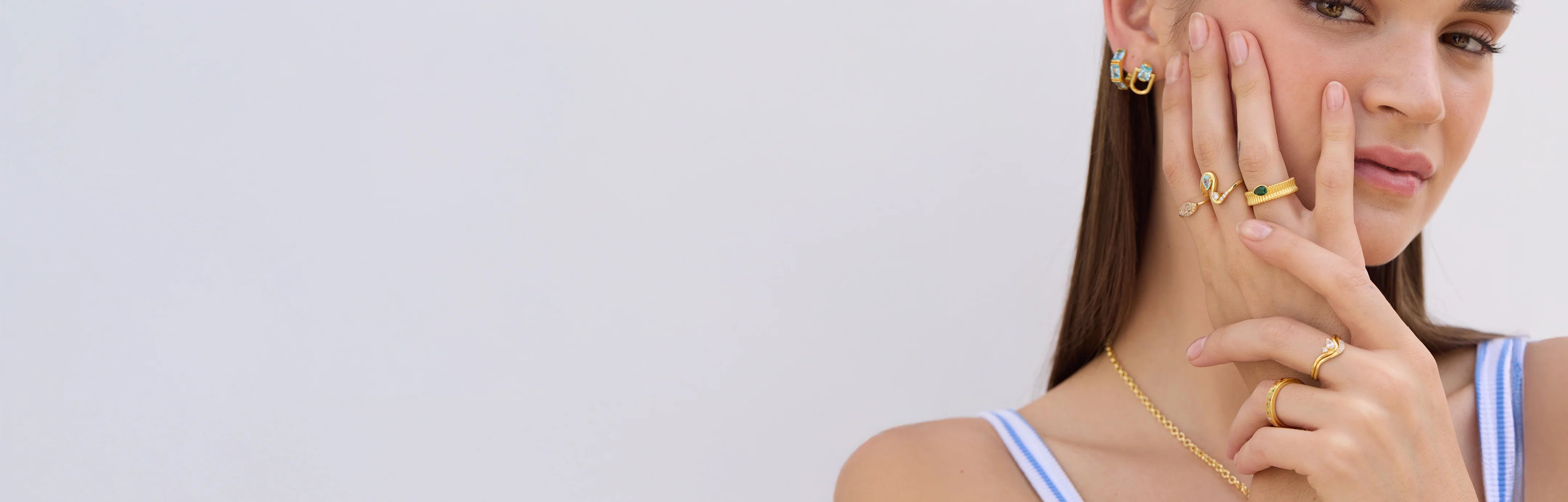 Desktop Banner